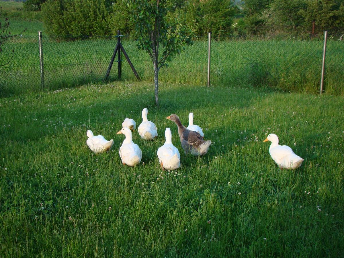 Pokoje Przy Kominie Piecki  Exteriér fotografie